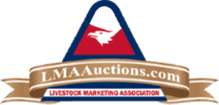 LMA Auctions Logo